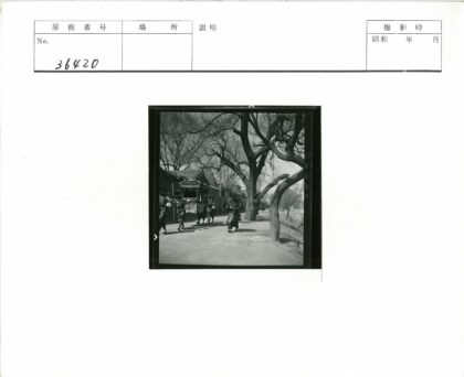 传统婚礼轿队巡游街景.jpg
