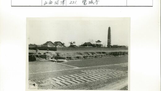 传统宝塔与农田风光.jpg