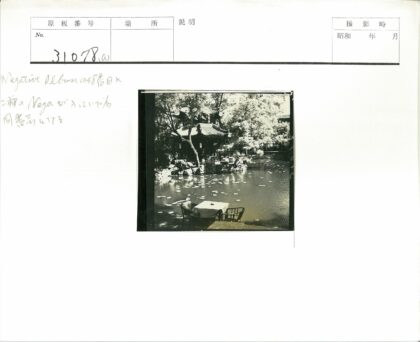 传统宝塔庭院莲池小憩.jpg