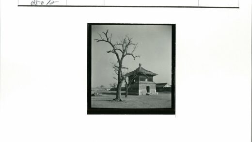 传统宝塔建筑与枯树景观.jpg