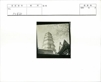 传统寺庙宝塔与枯枝.jpg