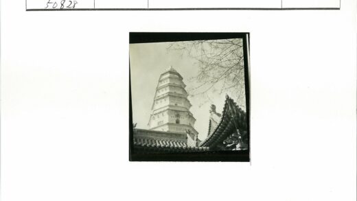 传统寺庙宝塔与枯枝.jpg