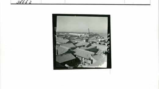 传统屋顶与宝塔高架景观.jpg