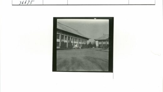 传统屋顶建筑与绿树草坪景观.jpg