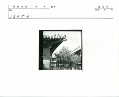 传统屋顶建筑与自然景观.jpg