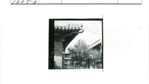 传统屋顶建筑与自然景观.jpg