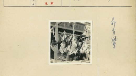传统市场挂鸡木杆.jpg