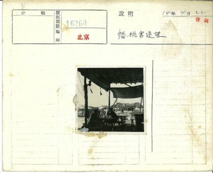 传统市场木杆树荫下乘凉.jpg