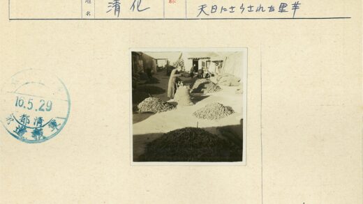 传统干货庭院劳作场景.jpg