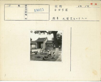 传统庭院亲子园艺活动.jpg