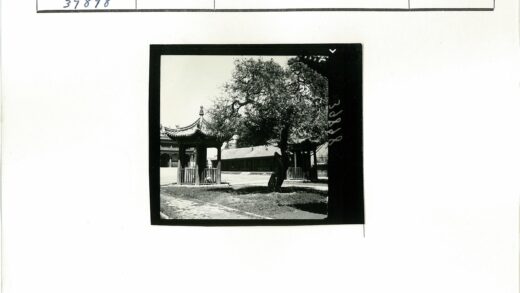 传统庭院宝塔大树古建筑.jpg