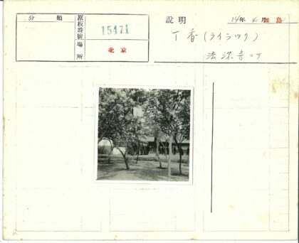 传统庭院小径与建筑.jpg
