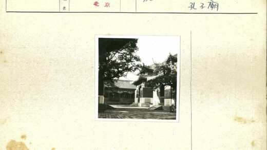 传统庭院瓦顶树影.jpg