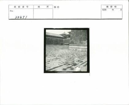 传统庭院石瓦绿植与华丽屋顶.jpg