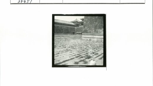 传统庭院石瓦绿植与华丽屋顶.jpg