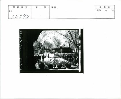 传统庭院绿植与建筑景观.jpg
