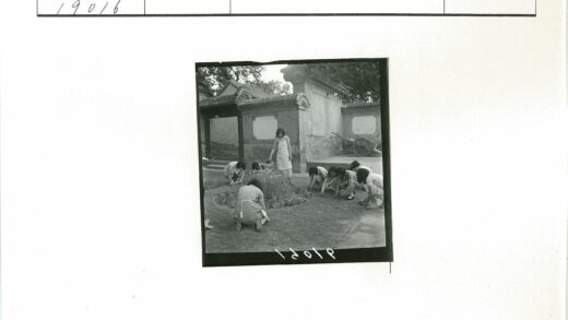 传统庭院花园打理场景.jpg