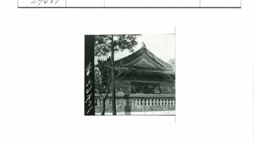 传统建筑与双树景观.jpg
