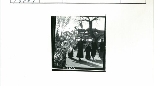传统建筑与大树下的装饰展.jpg