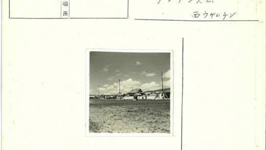 传统建筑与干草地景观.jpg