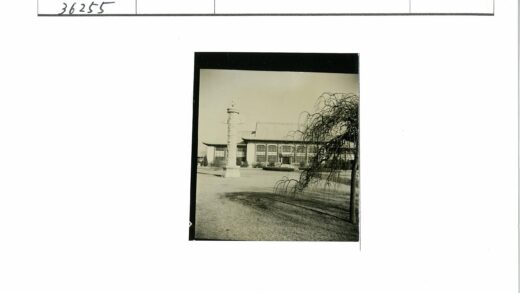 传统建筑与枯树景观.jpg