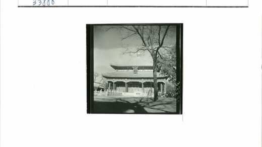 传统建筑与树影交辉.jpg