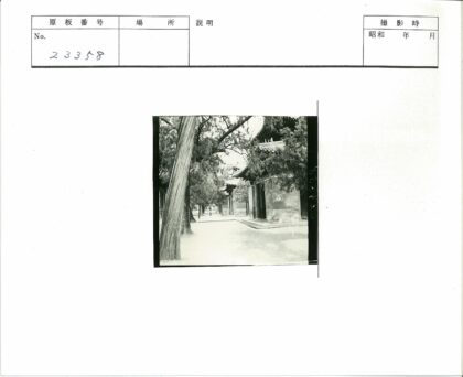 传统建筑与绿荫小路景观.jpg
