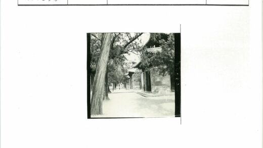 传统建筑与绿荫小路景观.jpg