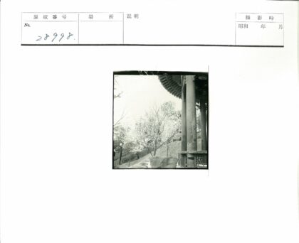 传统建筑与自然景观.jpg