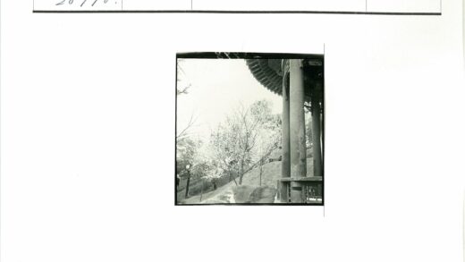 传统建筑与自然景观.jpg