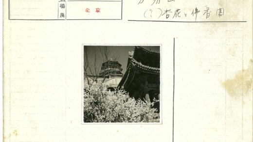 传统建筑与花树春景.jpg