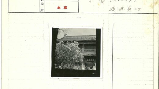 传统建筑与集装箱的绿意对比.jpg
