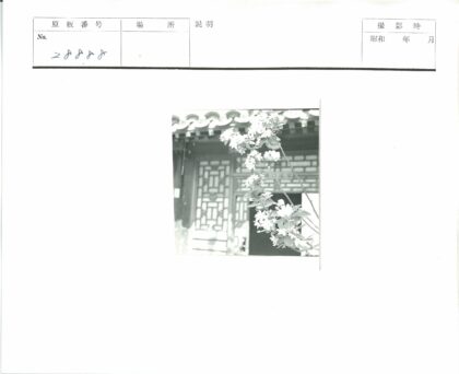 传统建筑与鲜花树枝.jpg