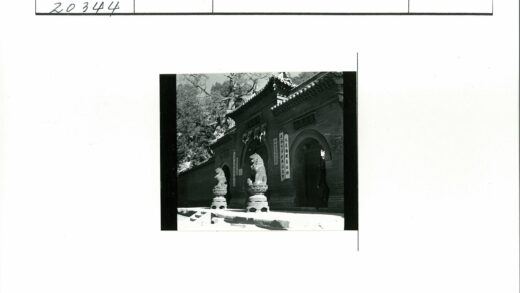 传统建筑入口狮子雕像景观.jpg