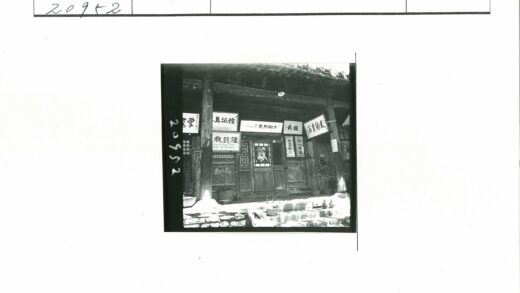 传统建筑入口装饰与盆栽景观.jpg