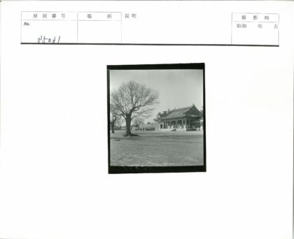 传统建筑前光秃树与人群.jpg