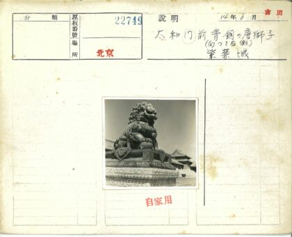 传统建筑前华丽石狮子雕像.jpg