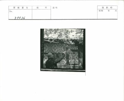 传统建筑前持鸟笼的男子.jpg
