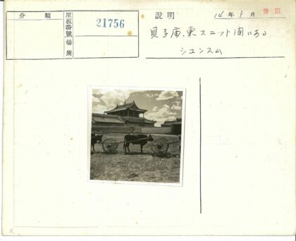 传统建筑前牛拉木车.jpg
