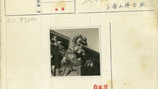 传统建筑前狮子雕像与鲜花特写.jpg