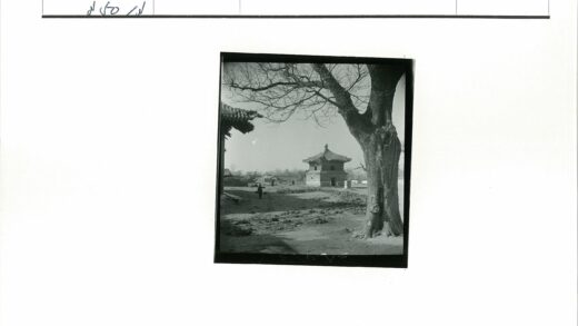 传统建筑前的老树土路.jpg