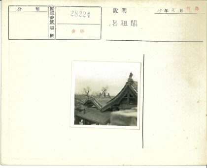 传统建筑华丽屋顶与冬日树木.jpg