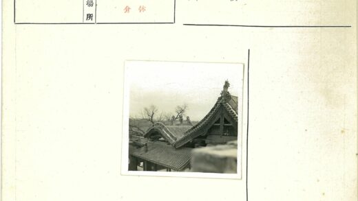 传统建筑华丽屋顶与冬日树木.jpg