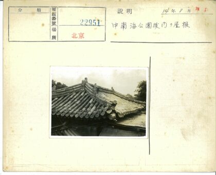 传统建筑华丽屋顶与绿植景观.jpg