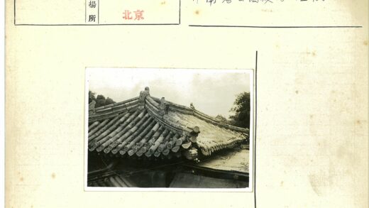 传统建筑华丽屋顶与绿植景观.jpg