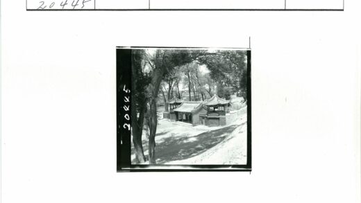 传统建筑华丽屋顶与自然景观.jpg