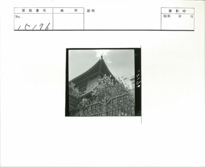 传统建筑华丽屋顶与花树掩映.jpg