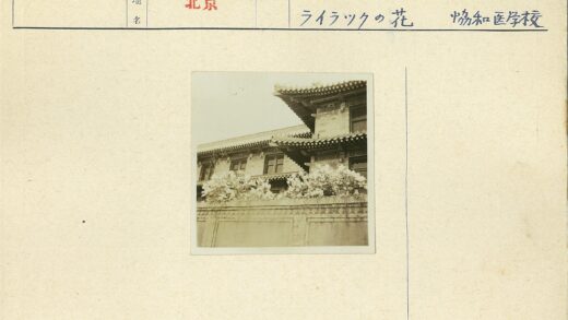 传统建筑华丽屋顶与雕花窗景.jpg