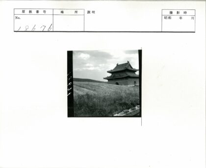 传统建筑华丽屋顶田野风光.jpg