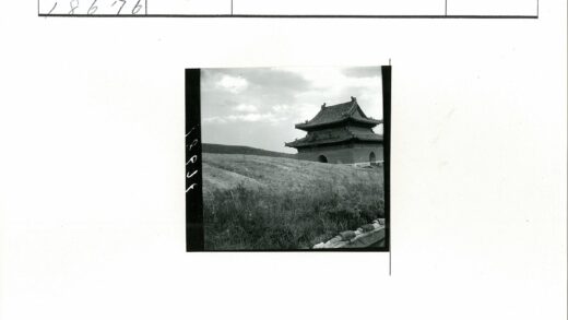 传统建筑华丽屋顶田野风光.jpg
